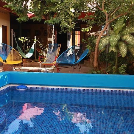 Hostal La Tortuga Booluda Leon Bagian luar foto