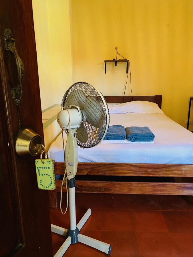 Hostal La Tortuga Booluda Leon Bagian luar foto