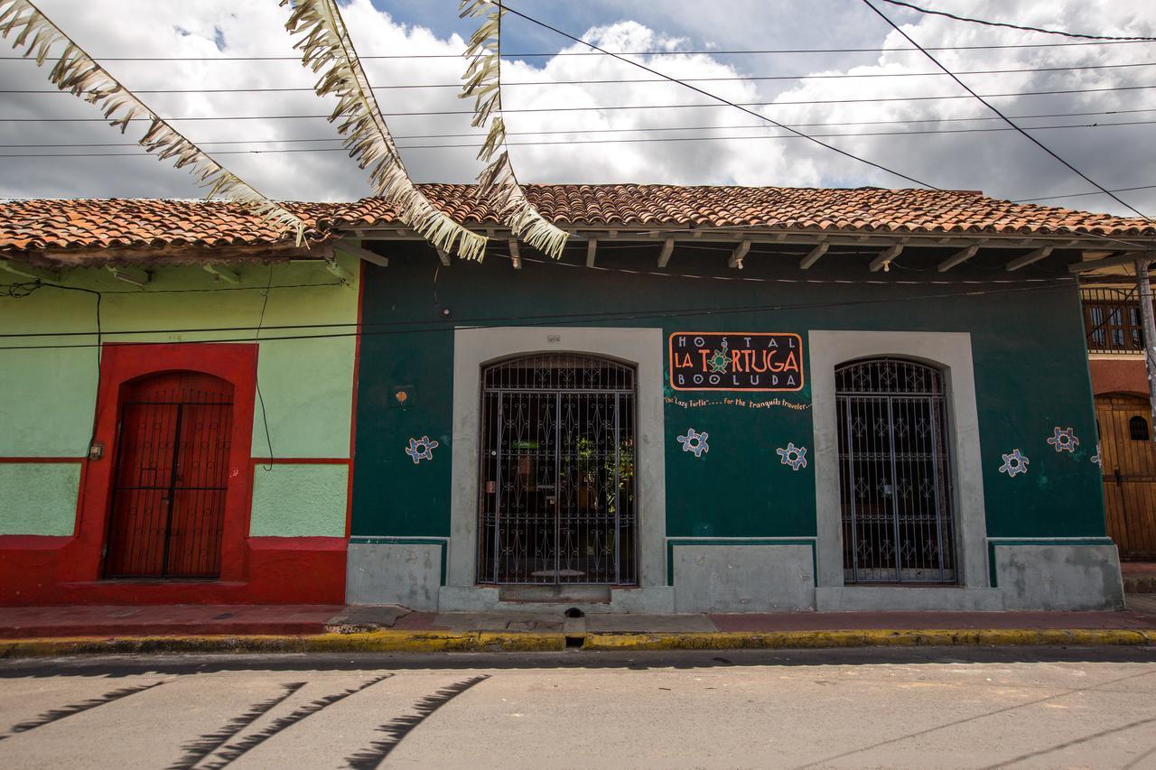 Hostal La Tortuga Booluda Leon Bagian luar foto