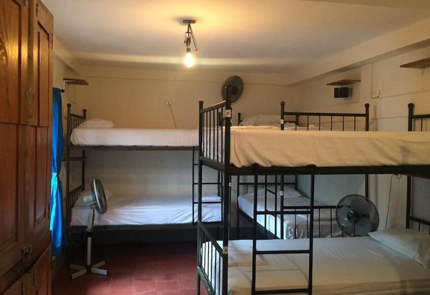 Hostal La Tortuga Booluda Leon Bagian luar foto